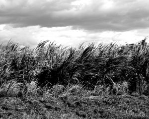 WS Wind and Sky - 12.jpg
